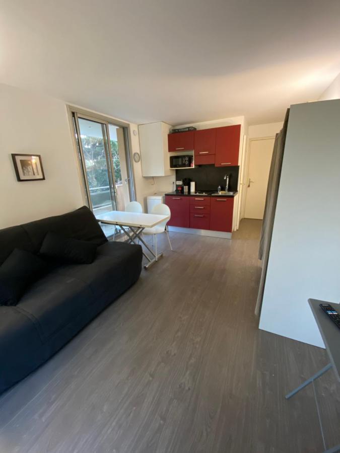 Studio Avec Terrasse, Vue Sur Jardin Apartment Nice Exterior photo